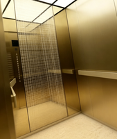 Ascenseur de passagers Fareo moderne en acier inoxydable sans engrenages à traction AC - Durable, installation et fonctionnement faciles, sol en PVC, garantie 1 an