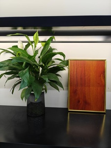 Patrón personalizable Placa de acero inoxidable Resistente a los sísmicos Cabina de ascensor de acero inoxidable - Product Image 2