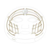Masque facial micro-courant à utilisation simple pour raffermir la peau, routine de soin EMS