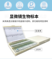 Human Histology Microscope Teaching Slides for Microscopic Science Research & Educational Purpose Prepared Slides