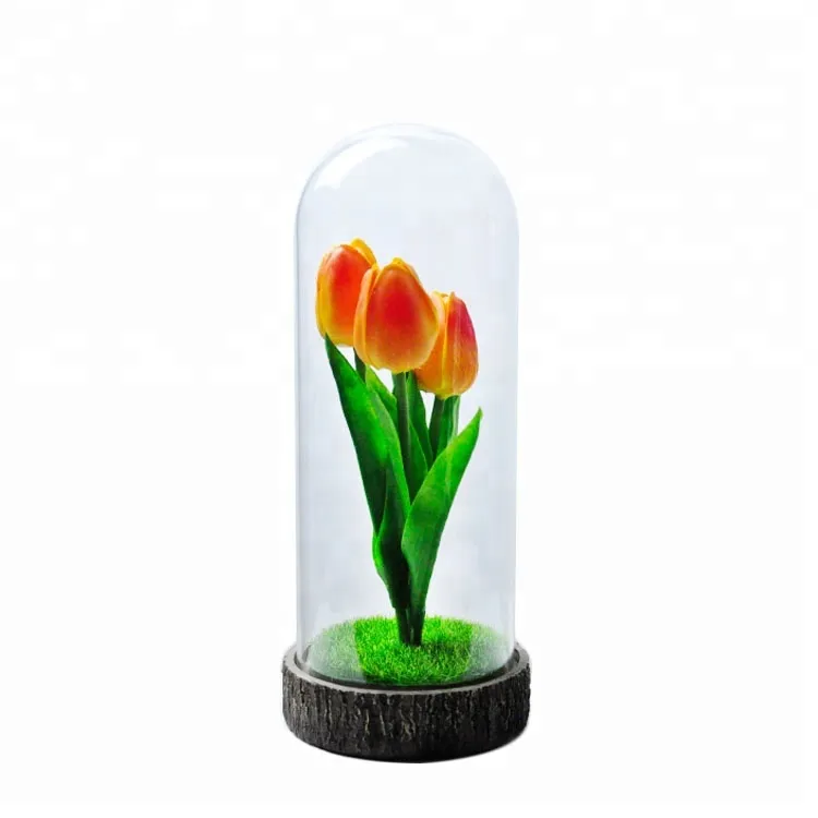 Decorativo conserve di tulipano in cupola di vetro con la luce del led
