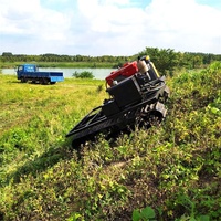 Transporteur électrique télécommandé Mini Dumper Camion à benne basculante Dumper sur chenilles