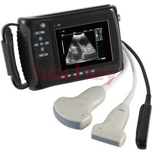 MT peralatan medis dokter hewan, pemindai Ultrasound sapi genggam tes kehamilan Ultrasound Probe domba - Product Image 2