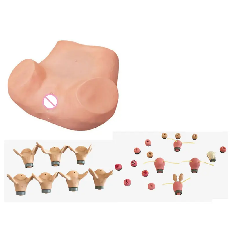 Fornitori della cina modello di formazione medica modello di addestramento per l'esame ginecologico completo