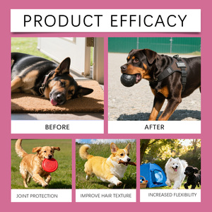 อาหารเสริมคอลลาเจนสำหรับสุนัข 5X ขนาด 60 มล. ช่วยเพิ่มความยืดหยุ่นของข้อต่อ เสริมสร้างความแข็งแรงของกระดูก บำรุงผิวหนังและขน ผลิตโดยผู้ผลิตโดยตรง ขายดี รับผลิตแบบ OEM - Product Image 2