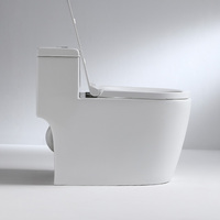 Toilettes monobloc en céramique modernes pour salle de bain, articles sanitaires, vente chaude directe usine chinoise