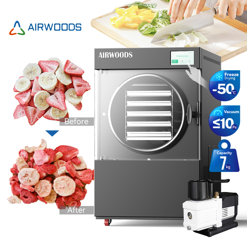 4Kg Fruit Liofilizador Machine Price Small