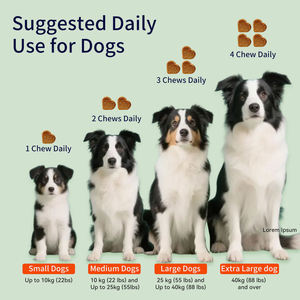 Compléments alimentaires pour chiens contre les puces et les tiques, à base d'huile <span class=keywords><strong>de</strong></span> coco et d'ail riches en protéines, personnalisables en gros, pour soutenir l'immunité, sous forme <span class=keywords><strong>de</strong></span> friandises à mâcher souples - Product Image 4