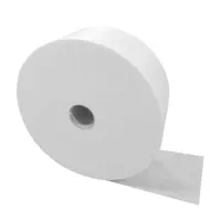 Tnt 100% Polypropylene The High Quality Tnt Fabric Non Woven Fabric Polypropylene Bfe99/pfe99 Meltblown 100% Pp