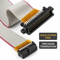 Câble plat personnalisé à 24 broches pour l'IA, assemblage de câbles pour serveurs IA, connecteur IDC, câble plat 28AWG pour serveur IA, GPU, rack, OEM, ODM