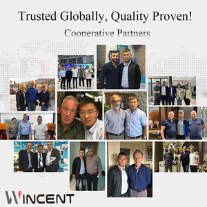 Película Intermedia PVB 0.38 0.76, Banda de Sombreado de Polivinil <span class=keywords><strong>Butiral</strong></span>, Material Laminado para Parabrisas Automotriz, Vidrio Translúcido, Corte - Product Image 6