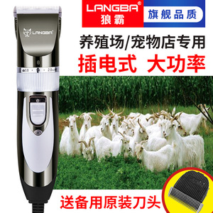 Cortapelos para mascotas de acero inoxidable, 110-240V, recargable, para peluquería canina y felina, personalizable - Product Image 5