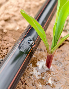 Ruban/<span class=keywords><strong>tuyau</strong></span> d'irrigation <span class=keywords><strong>goutte</strong></span> à <span class=keywords><strong>goutte</strong></span> pour l'agriculture, 8mil, 10mil, 12mil, pour système d'irrigation agricole - Product Image 2