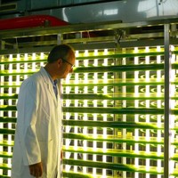 Tube en PMMA acrylique transparent haute brillance pour l'élevage d'algues, diamètre extérieur 90 mm et épaisseur 2 mm/3 mm, pour l'aquaculture agricole