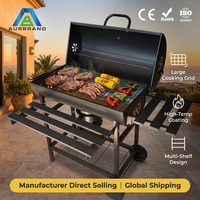 Fabricant direct, barbecue en acier inoxydable robuste, barbecue professionnel, 1 brûleur, équipement de cuisine extérieure, vente en gros