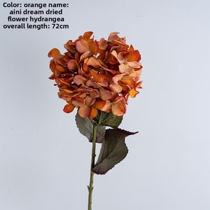 Fabricant transfrontalier de décoration intérieure en gros style INS, Hortensia artificiel style INS pour mariage, Hortensia artificiel séché et stabilisé - Product Image 5