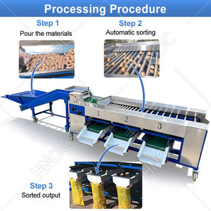 Máquina Clasificadora de Patatas, Cebollas y Frutas HNOC, Lavadora y Clasificadora de Rodillos para Manzanas, Precio - Product Image 3
