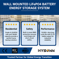 Batterie domestique haute capacité Hysonn 51.2V 314Ah 16.07kWh LiFePO4 pour armoire murale, idéale pour la sauvegarde photovoltaïque et les commandes en gros pour entrepreneurs