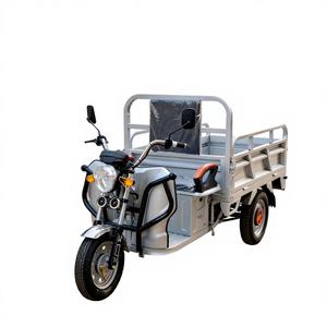 Triciclo Eléctrico de Carga ELK, Motorizado de Tres Ruedas, Acero, 60V 1000W+, Velocidad Máxima 30-50Km/h, Autonomía 50-70km, Carga Útil 400kg, Carrocería Abierta, Homologación DOT - Product Image 1