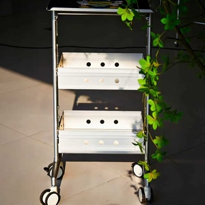 Modern Stainless Steel Salon Storage Cart with Double-Sided <b>Tool</b> Cabinet 4-Wheel High-End Hair Bar Cart for Hotel Beauty Salons - Product Image 2