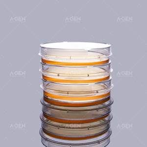 Suministros <span class=keywords><strong>de</strong></span> laboratorio, plato <span class=keywords><strong>de</strong></span> <span class=keywords><strong>cultivo</strong></span> desechable <span class=keywords><strong>de</strong></span> 100mm, placas <span class=keywords><strong>de</strong></span> <span class=keywords><strong>agar</strong></span> ventiladas, placa <span class=keywords><strong>de</strong></span> Petri estéril para <span class=keywords><strong>cultivo</strong></span> <span class=keywords><strong>de</strong></span> <span class=keywords><strong>bacterias</strong></span>, fácil <span class=keywords><strong>de</strong></span> sostener - Product Image 3