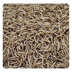 Gusanos de la Harina Amarillos, Gusanos de la Harina Altos en Proteínas, Bocadillo Especial para Aves, Tortugas y Hámsteres, Gusanos Secos, <span class=keywords><strong>Comida</strong></span> para Aves, <span class=keywords><strong>Comida</strong></span> para Palomas - Product Image 6