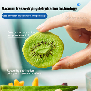 Lyophilizer Freeze <b>Dryer</b> Large-volume Commercial Customized Automatic Vial Lyophilization Machine Freeze <b>Dryer</b> - Product Image 4