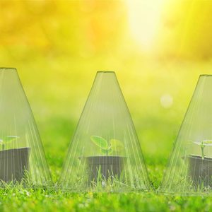 Couverture de jardin en plastique avec décolleté de couleur verte d'un diamètre de 3.0cm - Product Image 4