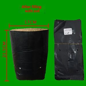 Bolsas de <span class=keywords><strong>vivero</strong></span> de tela no tejida de plástico blanco y negro para semillas de maracuyá y eucalipto, paquetes nutritivos para jardinería doméstica - Product Image 1