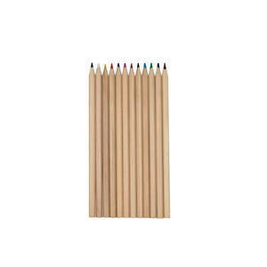 Matite Standard dal Design Minimalista con Venature Naturali del Legno, Set da 12 Colori per Arte e <span class=keywords><strong>Disegno</strong></span> per Principianti, Confezione per Bambini - Product Image 1