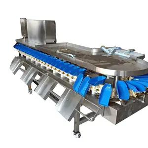 Potato Sorter Fresh Fruit Sorting Red Lemon Grading Machine Rotating Trays Weight Grader