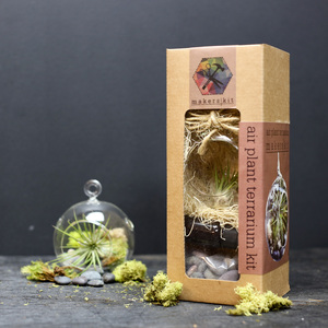 Bestes Geschenk Herb Garden Kit Glas Terrarium Vase Lebhaftes Reptil Mini Terrarium Kinder Pflanze Kit Töpfe Hängendes Glas Pflanze Terrarium - Product Image 5