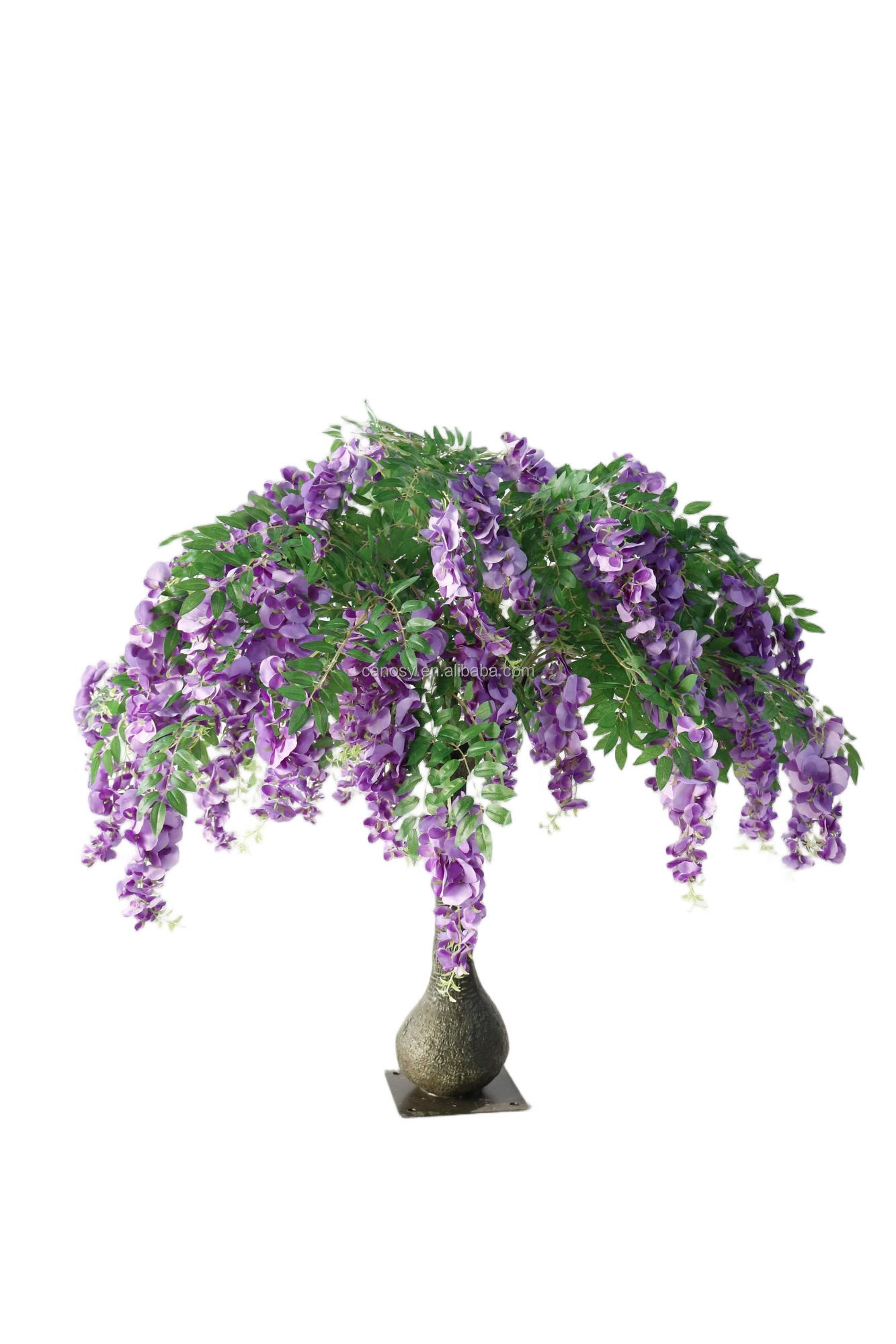 Pourpre