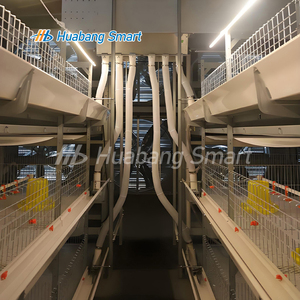 Broiler için tam otomatik gübre çıkarma sistemi tavuk kümesi H tipi tavuk kafesi - Product Image 3