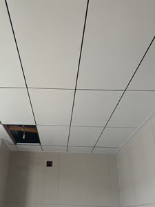 Pourquoi les <span class=keywords><strong>architectes</strong></span> choisissent les panneaux de plafond en aluminium : durabilité et design réunis - Product Image 5