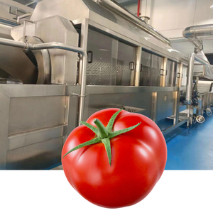 Línea de Producción de Salsa de Tomate y Pasta de Tomate de Procesamiento Rápido, Precio Económico, Línea de Producción de Mermelada de Tomate y Ketchup Más Vendida - Product Image 1