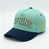 Gorra de Béisbol Unisex Ajustable de 6 Paneles con Logotipo Personalizado Bordado en 3D de Alta Calidad al por Mayor