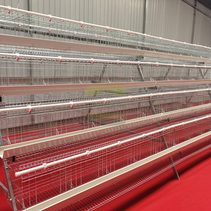 For 4 Tier 5 Door Heavy Duty <strong>Galvanized</strong> Steel Automatic Chicken Cage System 5-Year Warranty for Commercial Egg Production - Product Image 2
