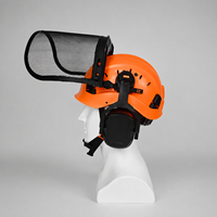 Casque de sécurité forestier professionnel ANT5PPE 4 en 1 avec écran facial en maille et protection auditive pour travaux avec tronçonneuse (EPI)