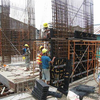 Coffrage en plastique pour la construction et le bâtiment, plaque de coffrage en plastique ABS pour le béton