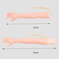 Modelo de Brazo de PVC Avanzado para Práctica de Venopunción Intravenosa - Simulador de Ciencias Médicas