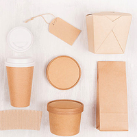 Sacs d'emballage en papier kraft biodégradables personnalisés en gros avec fermeture éclair, sacs en papier kraft sur mesure