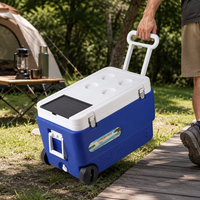 Glacière solaire isotherme au design élégant en PP/PE, pour le stockage des aliments, glacière portable à roulettes