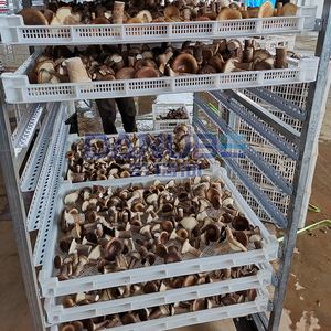 Séchoir à champignons à pompe à chaleur, déshydrateur de champignons, équipement de séchage de champignons, prix fabricant - Product Image 4