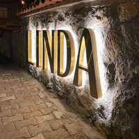 Enseigne lumineuse 3D personnalisée en lettres rétroéclairées LED, lettres en acier inoxydable, logo lumineux pour devanture de magasin