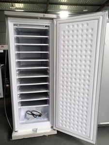 198L AC/DC Hybrid 24V/220V Upright Freezer 11layers/7 <strong>Layers</strong> Commercial Solar Panel Gel Battery Powered Solar Ice Block <strong>Machine</strong> - Product Image 5