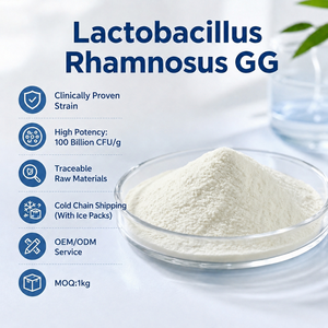 Polvo Probiótico Liofilizado de Lactobacillus Rhamnosus GG al por Mayor, 100B UFC/G, Servicio OEM ODM, Suministro a Granel <span class=keywords><strong>para</strong></span> Aliviar la <span class=keywords><strong>Diarrea</strong></span> - Product Image 1