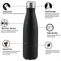 500ML sans BPA peinture de couleur brillante Double paroi vide Cola forme bouteille d'eau isolée pour Camping Gym