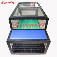 Machine de jeu de football en métal à monnayeur pour deux joueurs, interface anglaise, pour zone de divertissement pour enfants, noir, 110/220V, SUNWAYT personnalisé