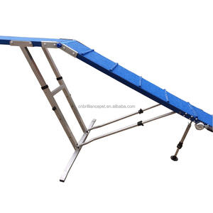 Échelle d'agilité pour chiens, entraînement en extérieur, promenade avec son chien - Product Image 6